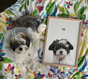 Load image into Gallery viewer, Framed portrait upgrade [A4]
